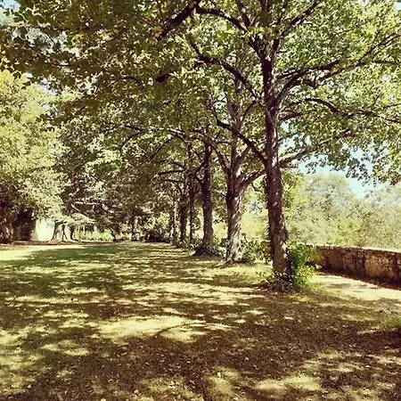 Domaine De Carriere * Marvejols